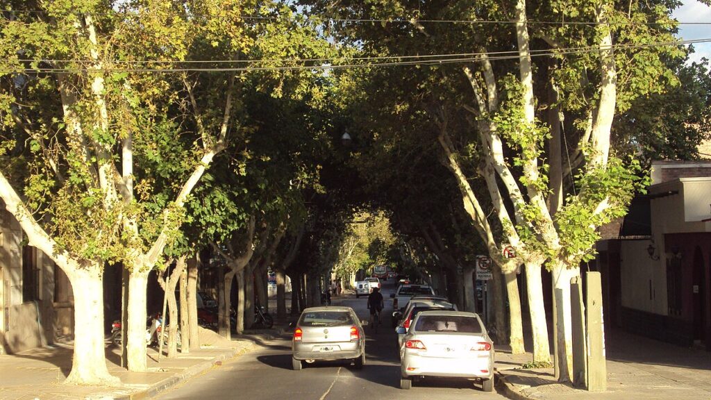 Las "mesas calientes" preocupan a las cafeterías del centro de San Juan: entran, piden poco y se van