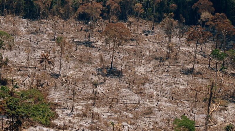 La Amazonía ya emite más carbono del que absorbe: el fuego, en su mayoría humano, es el principal culpable