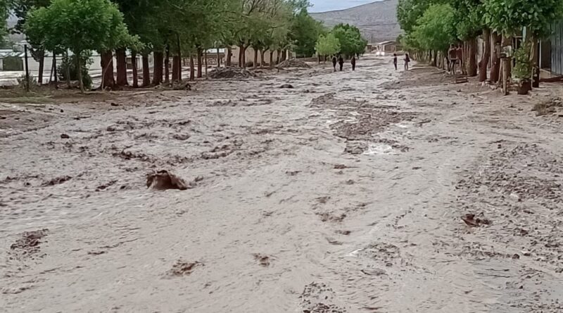 Neuquén se prepara para meses de temporal: "La afectación de El Niño será del 100%"