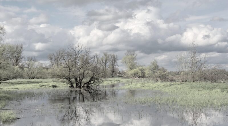 Alerta por un El Niño "muy fuerte": qué zonas de América Latina irían a sequía y cuáles a inundaciones